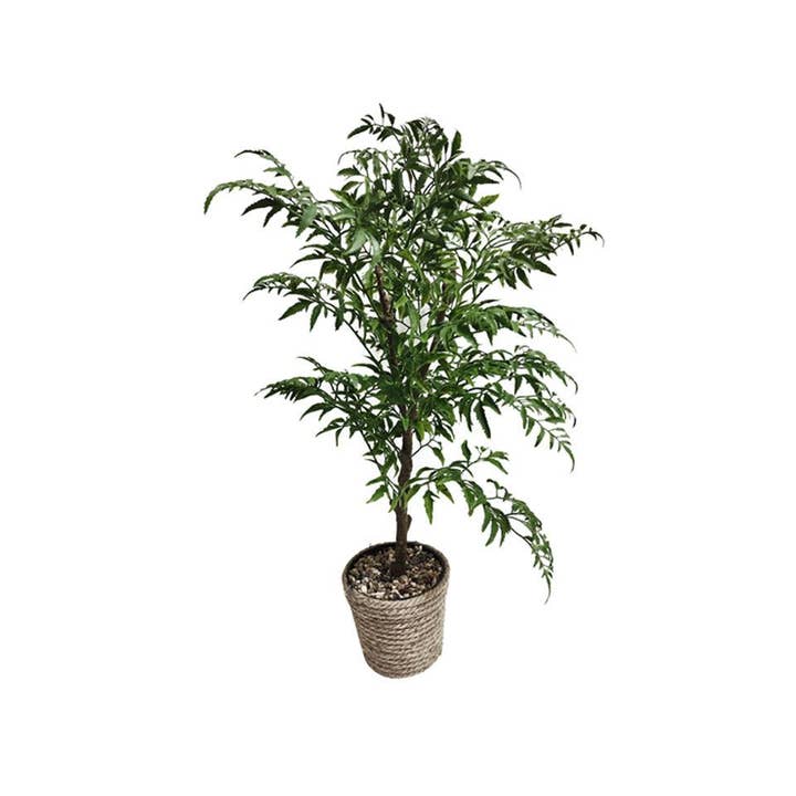 Truu Design Artificial Leafy Plant, 20"H, in 5"D Jute Pot for wholesale by Truu Design