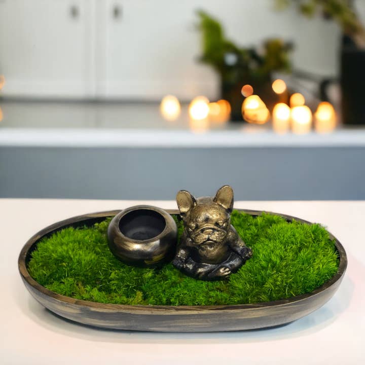 Planters Made in the USA - Wholesale Decorative Tabletop Object - Moss Table Centerpiece Decor Preserved Plant, Forever Green10