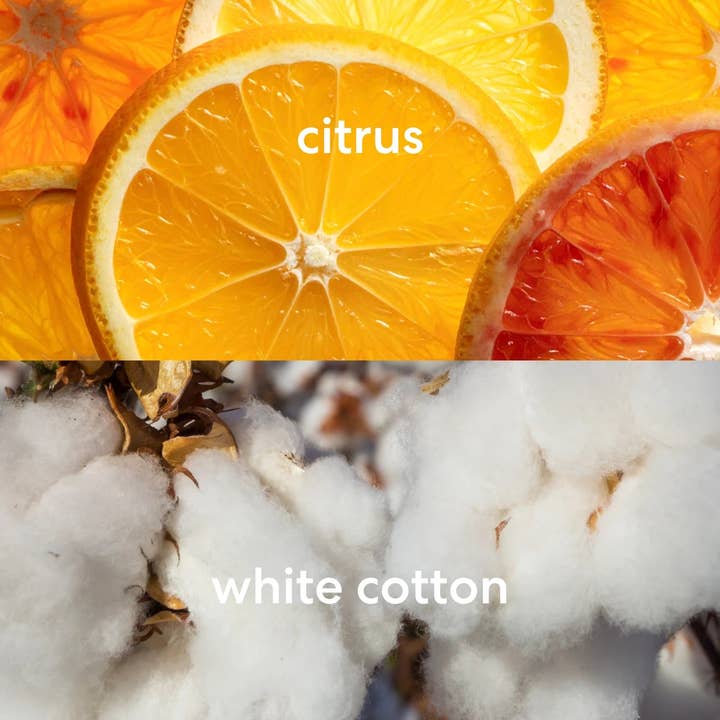 Literie - Vente Bougie en bocal - 30e anniversaire de Clueless - Des balles qui volent vers mon nez3