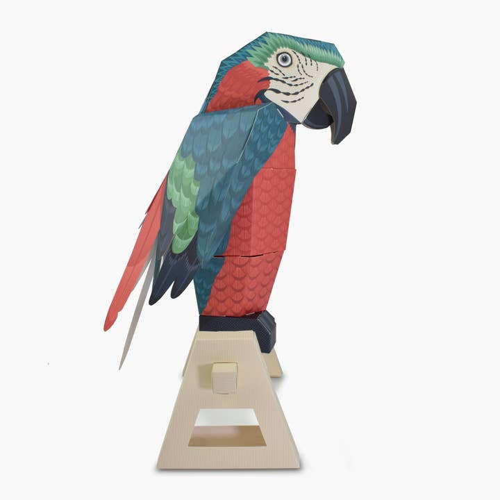 Clockwork Soldier - USA - Wholesale DIY Craft Kit - Kids - Create Your Own Parrot on a Perch4