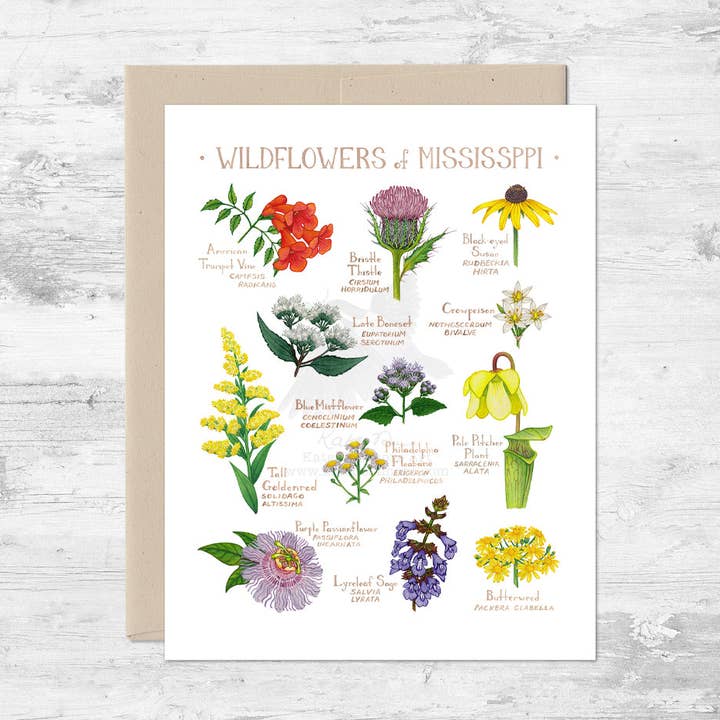 Wildflowers of Mississippi Note Card for wholesale by Kate Dolamore Art
