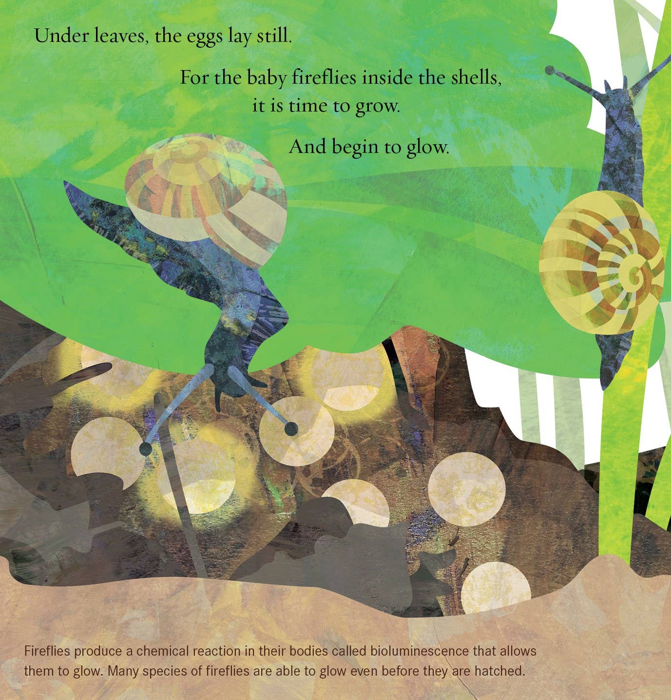 Sleeping Bear Press - Wholesale Book - Kids - Light the Sky, Firefly! Picture Book3