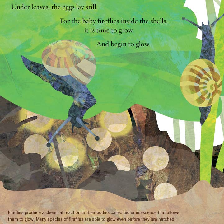 Sleeping Bear Press - Wholesale Book - Kids - Light the Sky, Firefly! Picture Book3