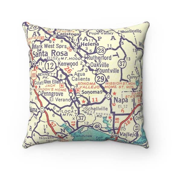 Daisy Mae Designs - Wholesale Throw/Decorative Pillow - Napa Valley Map Pillow – 18" Square Throw Pillow0