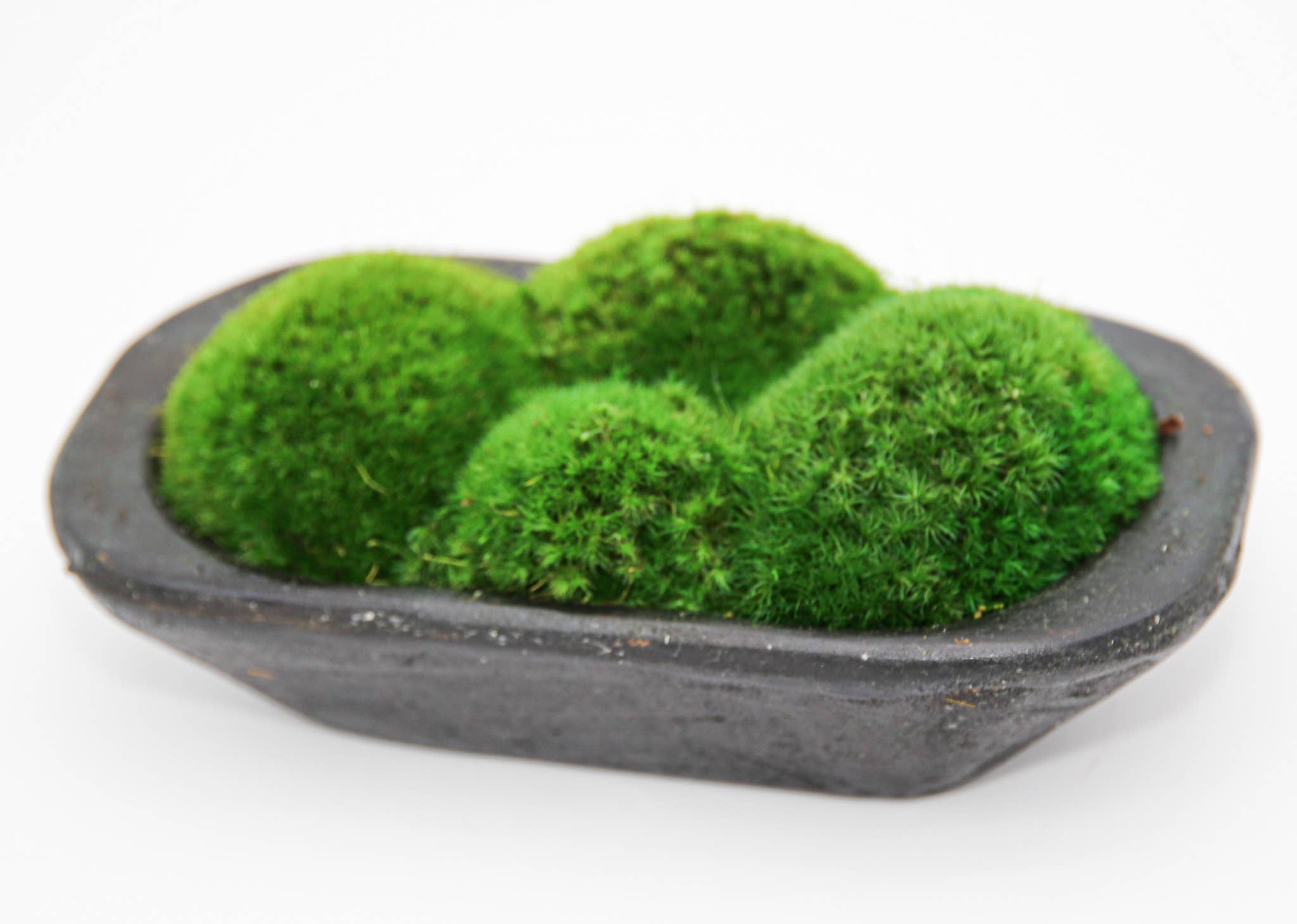 Forever Green Art – Engroshandel Pyntetallerken/skål – Moss Petite træfad3