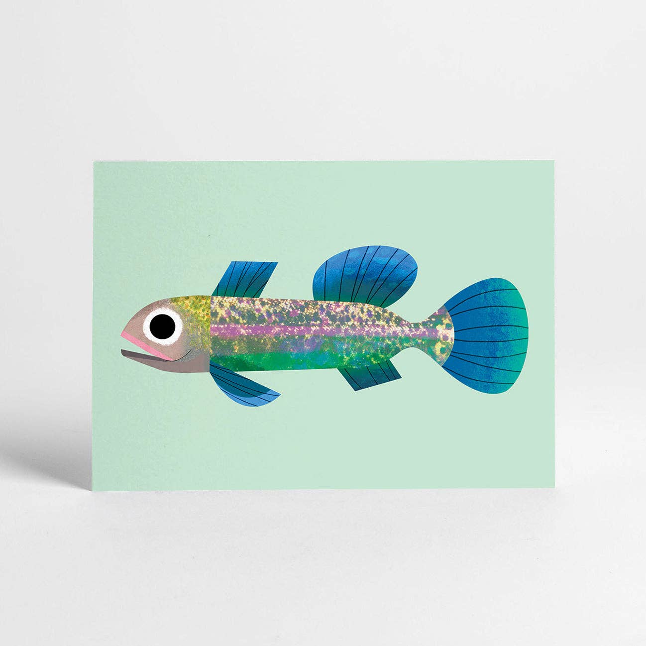 Sunny Beast - Venta al por mayor Juego de postales - 20 postales | Set en caja15