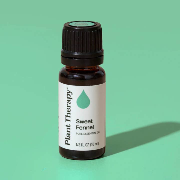 Plant Therapy - Wholesale Essential Oil - Sweet Fennel Essential Oil 10 mL4