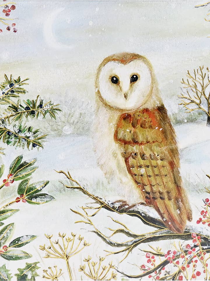 Cartes de vœux de luxe en boîte avec chouette effraie en hiver pour la vente par Peter Pauper Press