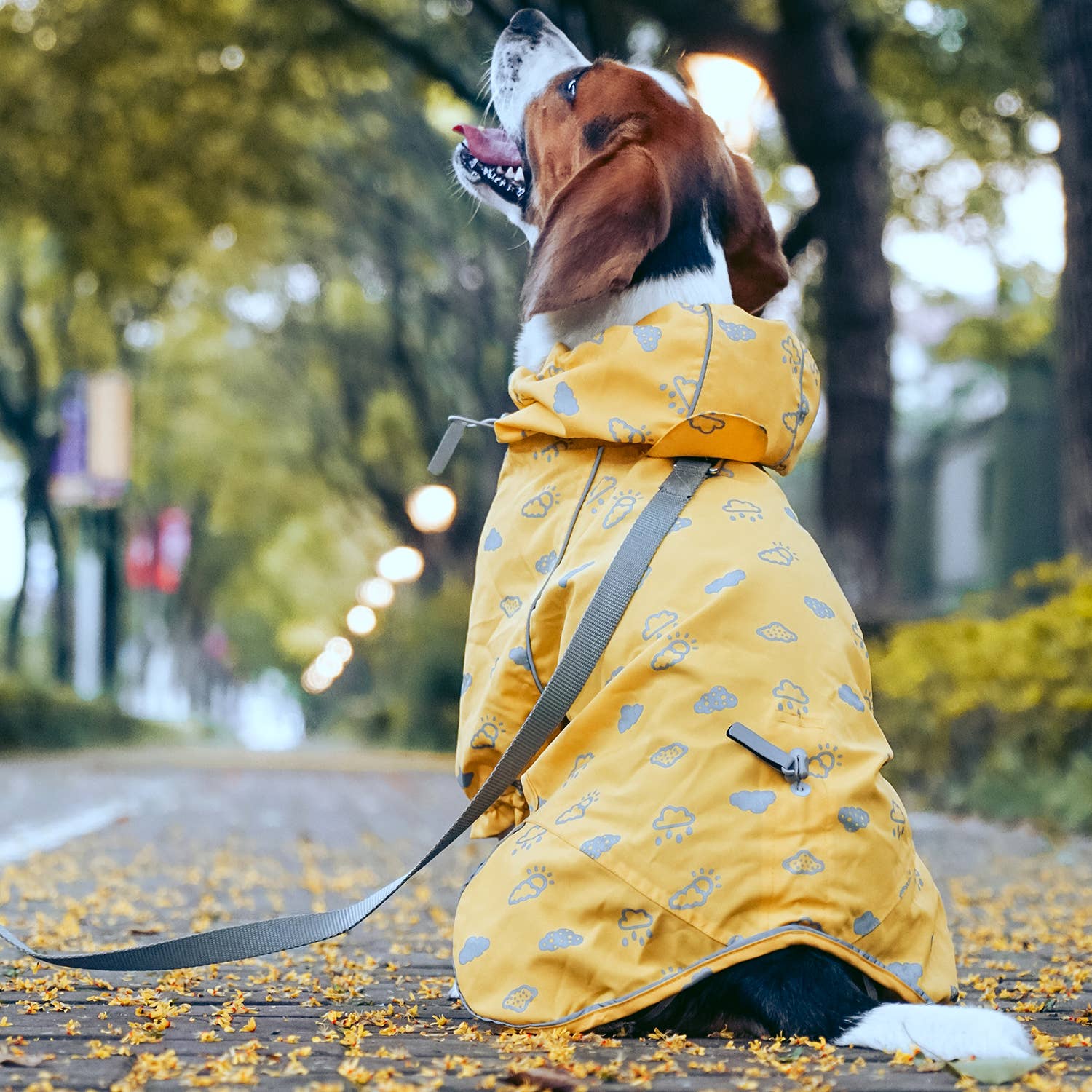 Blueberry Pet - Wholesale Pet Raincoat - Dog - 3 Colors, 2 Legs Reflective Dog Raincoat21