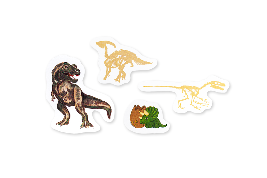 Edicare Editora, Lda. – wholesale Sticker – Child & baby – DINOSAURS - 160 STICKERS4