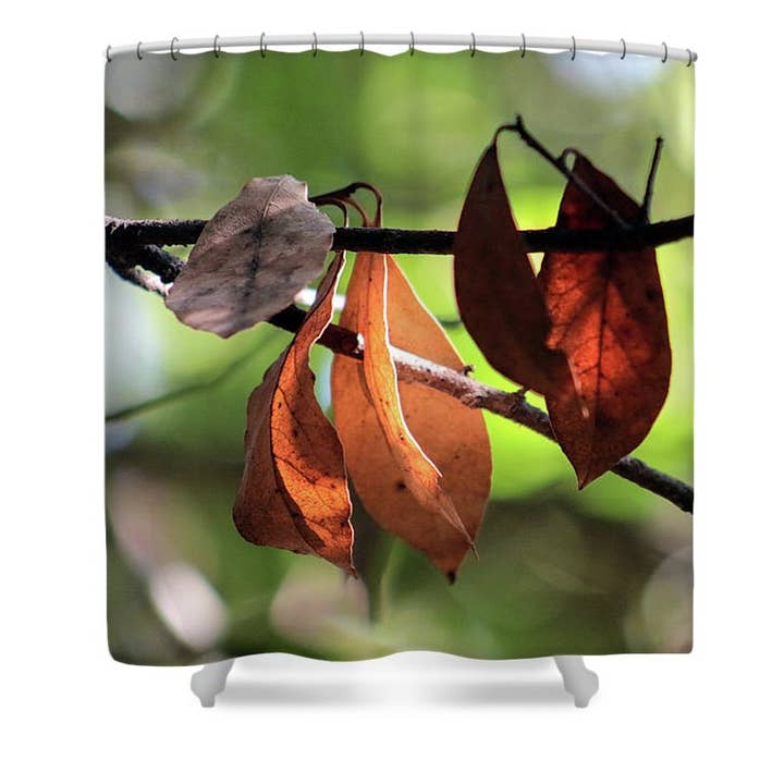 TENDA DA DOCCIA "THE AUTUMNAL TREE'S LEAVES" per la vendita all'ingrosso da parte di sorayadapuzzostore