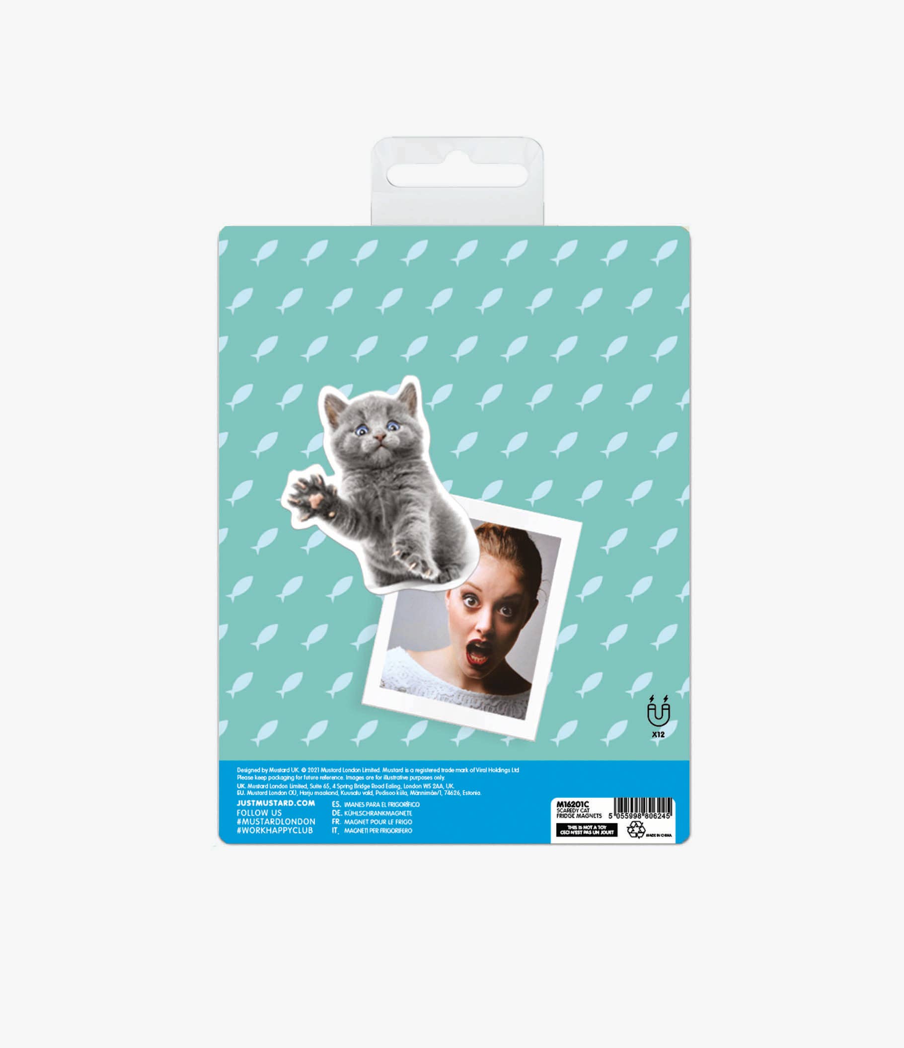 Mustard – wholesale Magnet – Scaredy Cat Magnets3