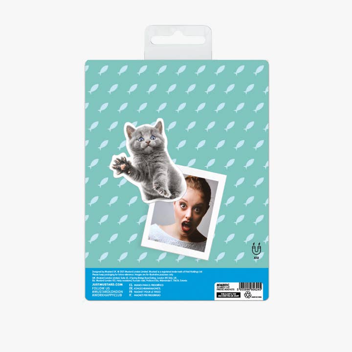 Mustard – wholesale Magnet – Scaredy Cat Magnets3