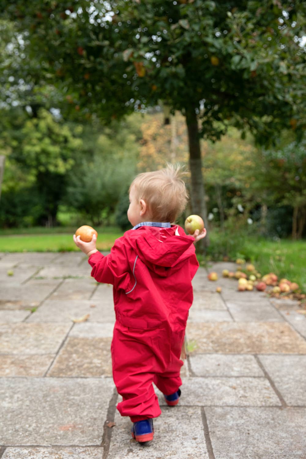 Hippychick – wholesale Rain suit – Kids – HC Waterproof All In One Fiesta Red 12-18 Months7