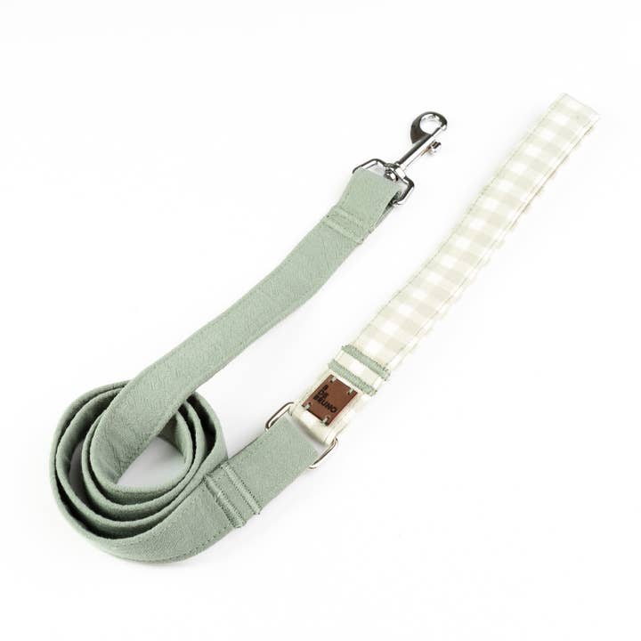 Correa Marieth for wholesale by B de Bruno