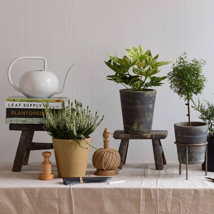 Bloomist - Wholesale Watering Can - Beatrix Watering Can