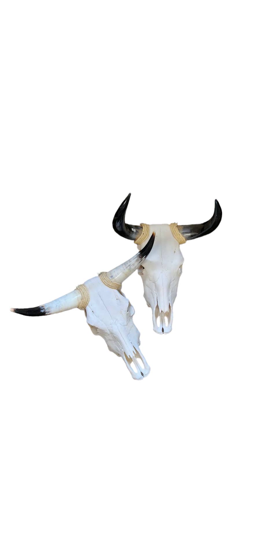 Luises Perez Imports LLC - Wholesale Wall Accent - Assorted Small skull