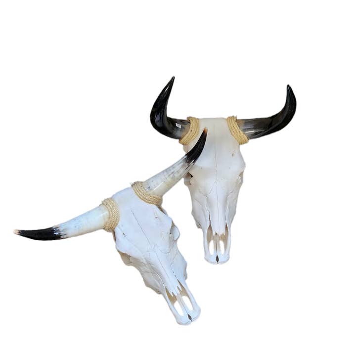 Luises Perez Imports LLC - Wholesale Wall Accent - Assorted Small skull0