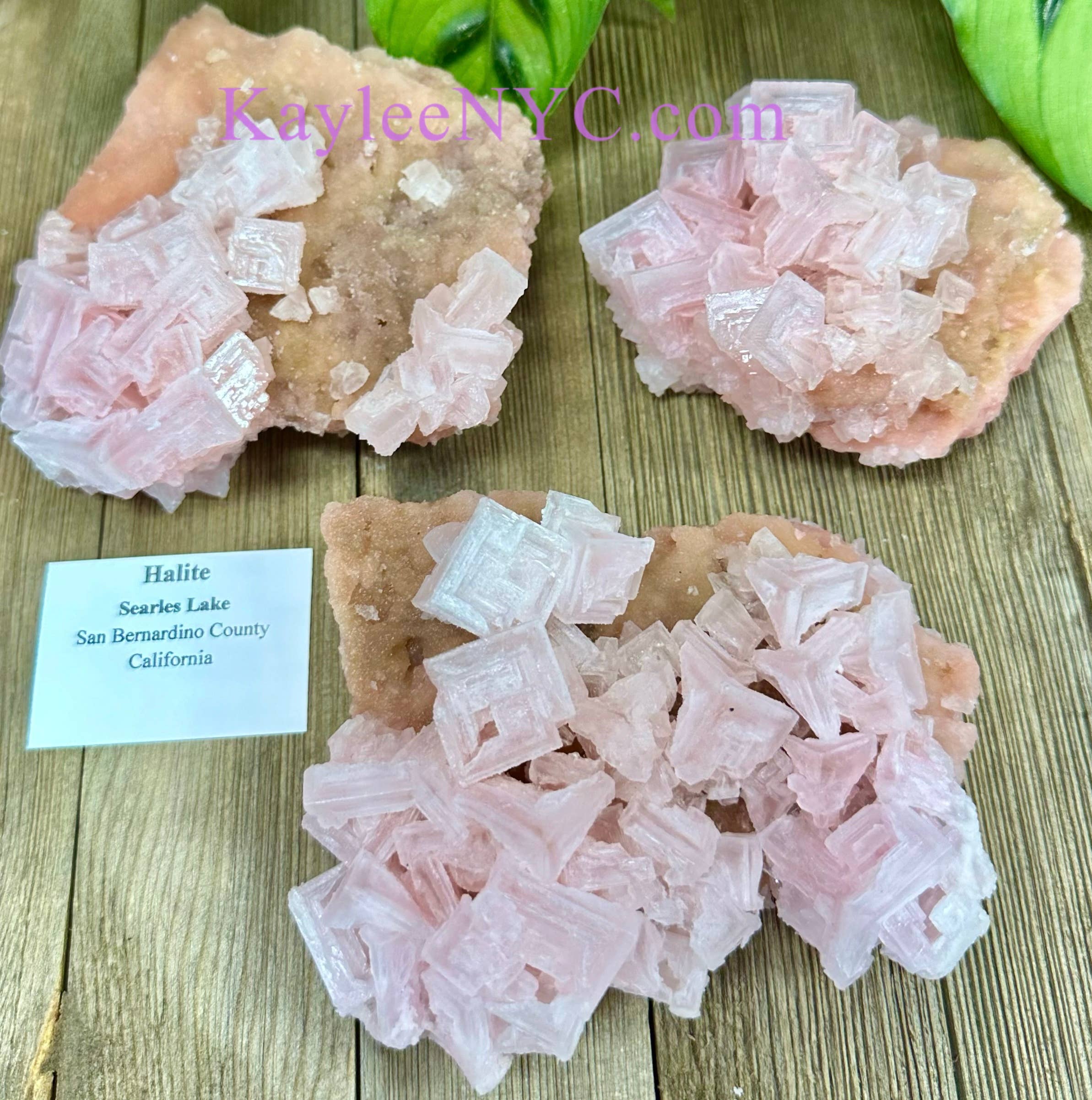 KayleeNYC - Wholesale Spiritual Stone/Crystal - Natural Pink Halite Specimen Raw Crystal5