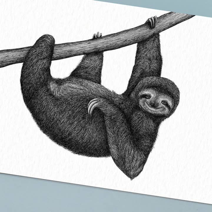 Wild Lines - Wholesale Art Print - Black and White Animal Art Print - Sloth - A4 Pen & Ink Art1