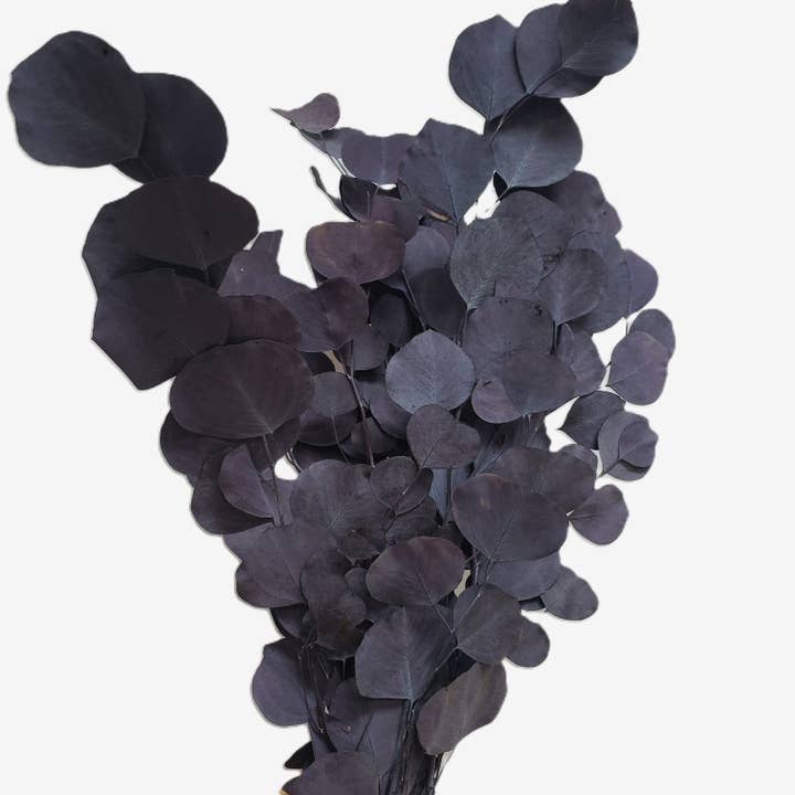BLOOMINGFUL.COM - Wholesale Dried/Pressed Flowers - Silver Dollar Eucalyptus Preserved - Moody Purple2