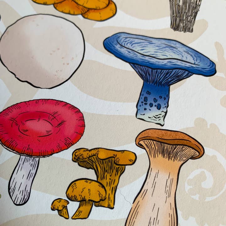 Bean Horse Car Designs - Wholesale Art Print - A to Z Mushrooms Art Print2