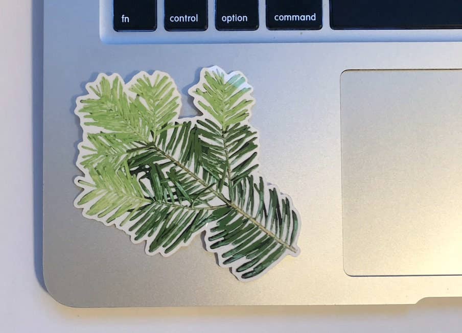 Stick Outside - Wholesale Sticker - Oregon Grand Fir Sticker3