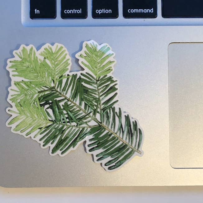 Stick Outside - Wholesale Sticker - Oregon Grand Fir Sticker3