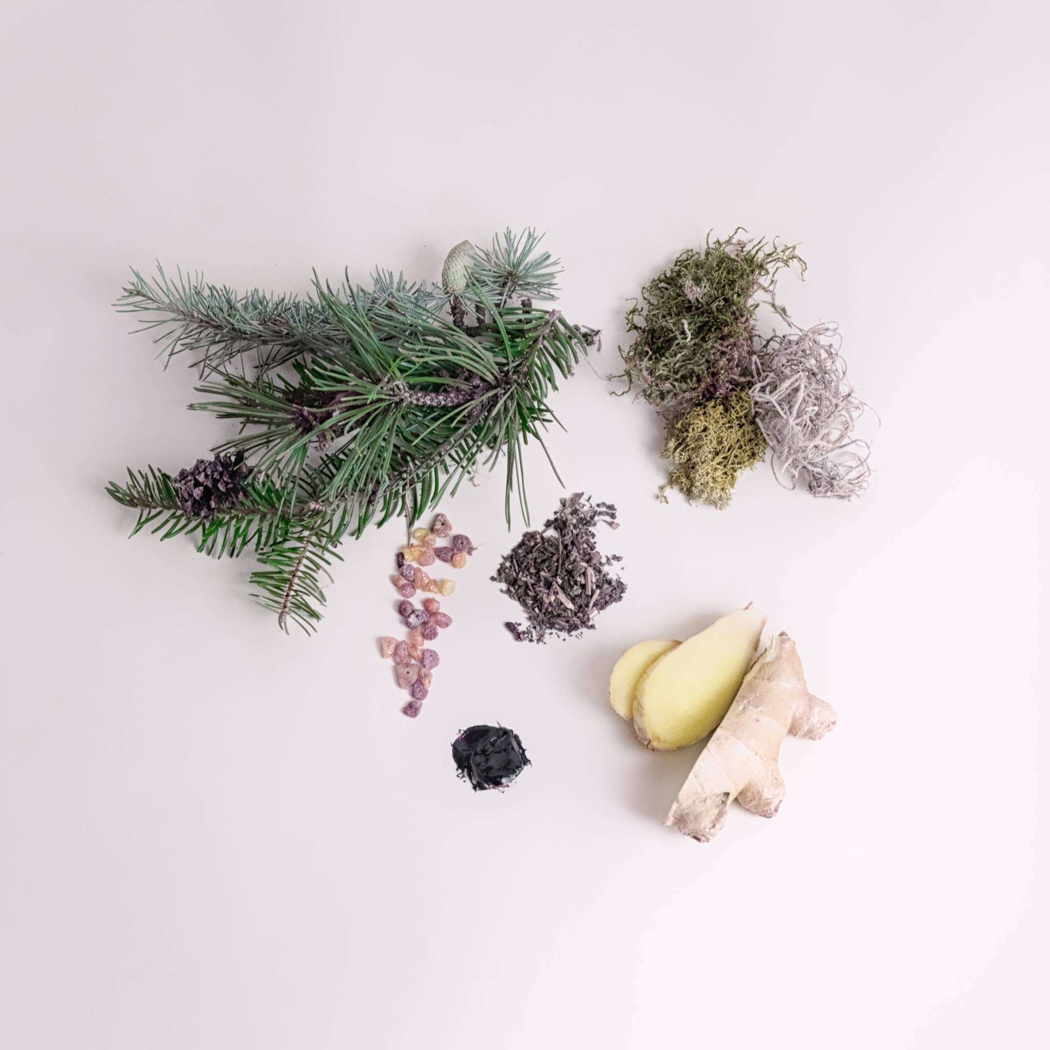 SCENTORIE. - Wholesale Jar/Filled Candle - WILD WOODS Rapeseed Wax Scented Candle 300g/60h 1