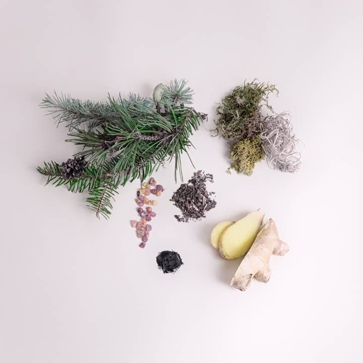 SCENTORIE. - Vendita all'ingrosso Candela in vasetto - Candela profumata alla cera di colza WILD WOODS 300g/60h 1