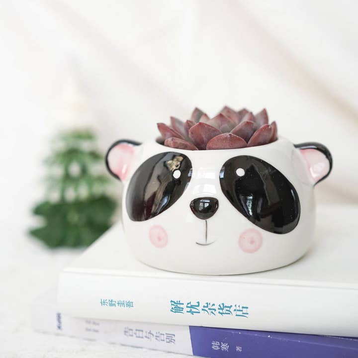 Springer Décor - Wholesale Plant pot - Glazed Animal(fox-panda-cat-dog)5