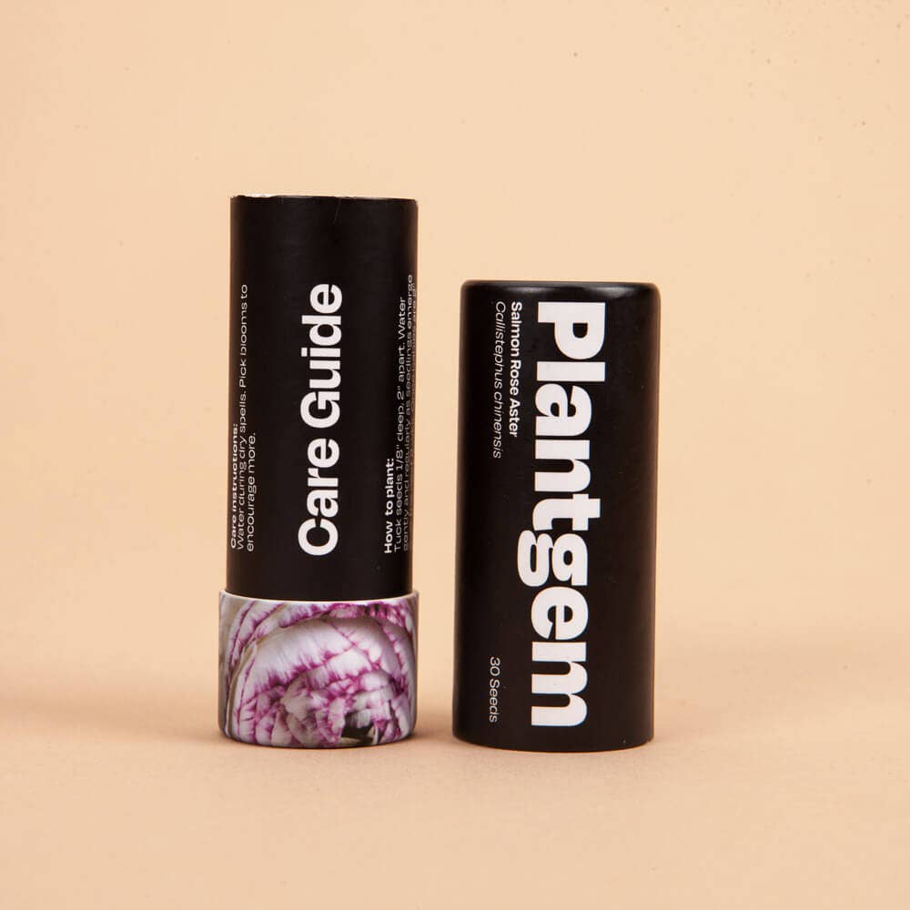 Plantgem - Wholesale Plant Seeds - Misty Lavender Larkspur - 100 Seeds3