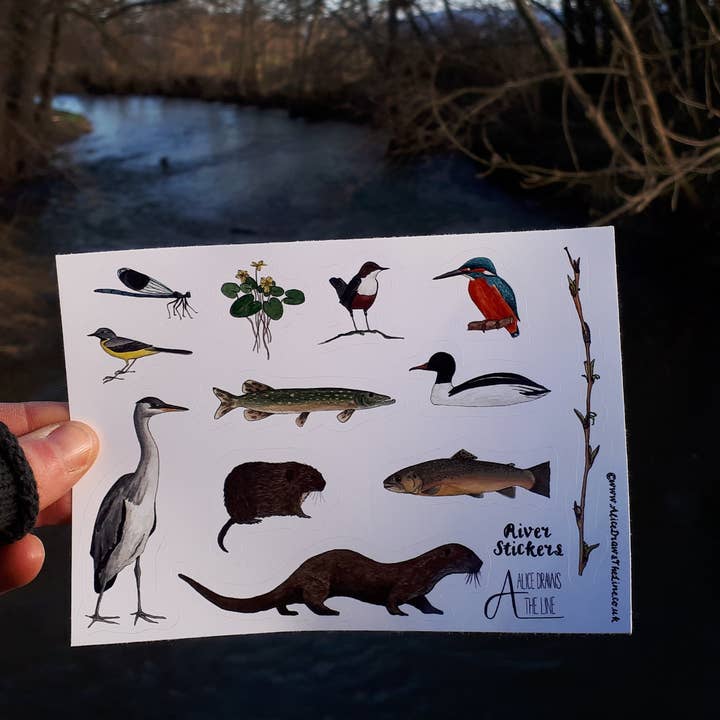 River species sticker sheet for wholesale by Alice Draws The Line