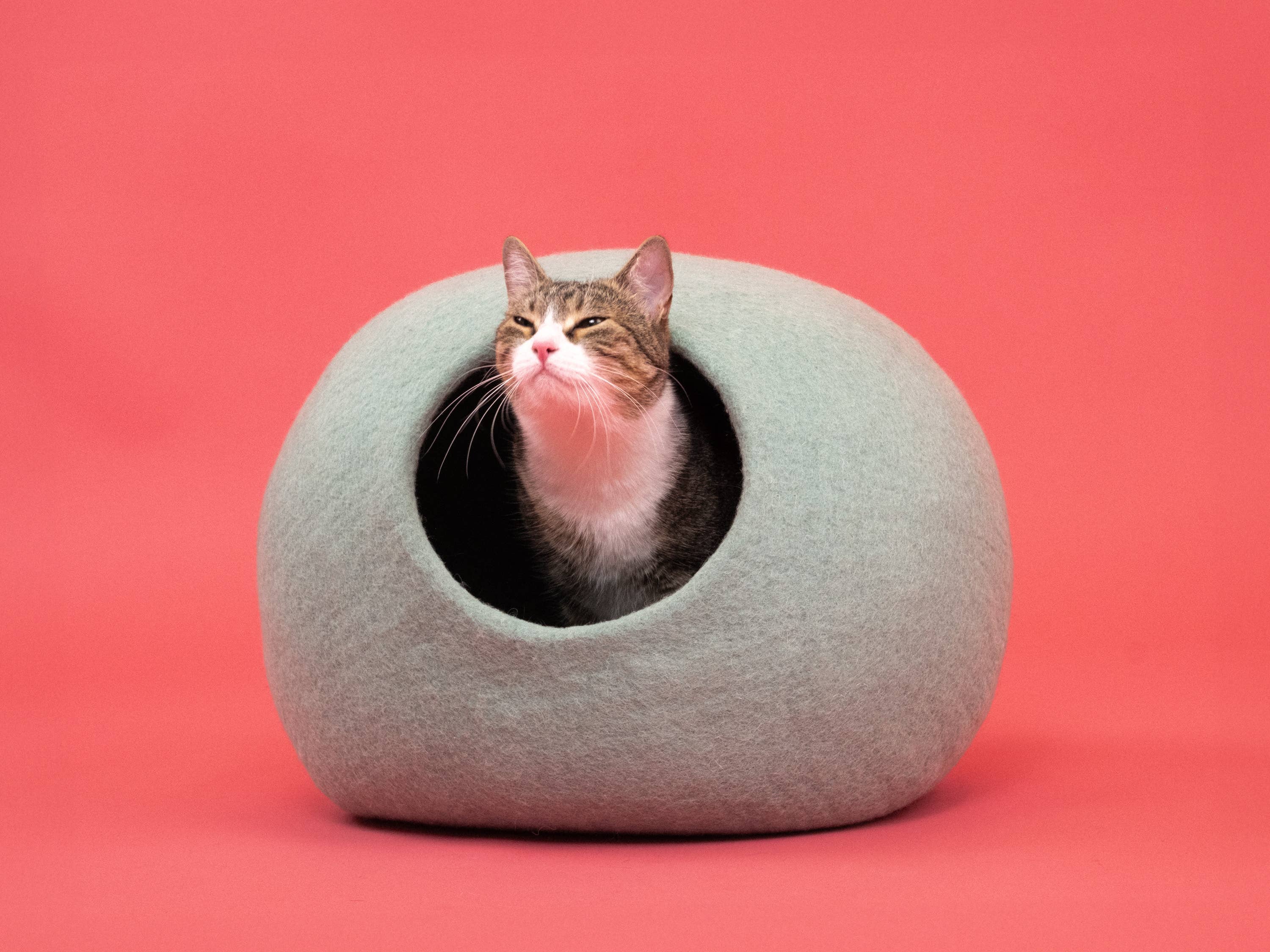 myfelt - Wholesale Pet Cave - Cat/Dog - Fine cat cave1