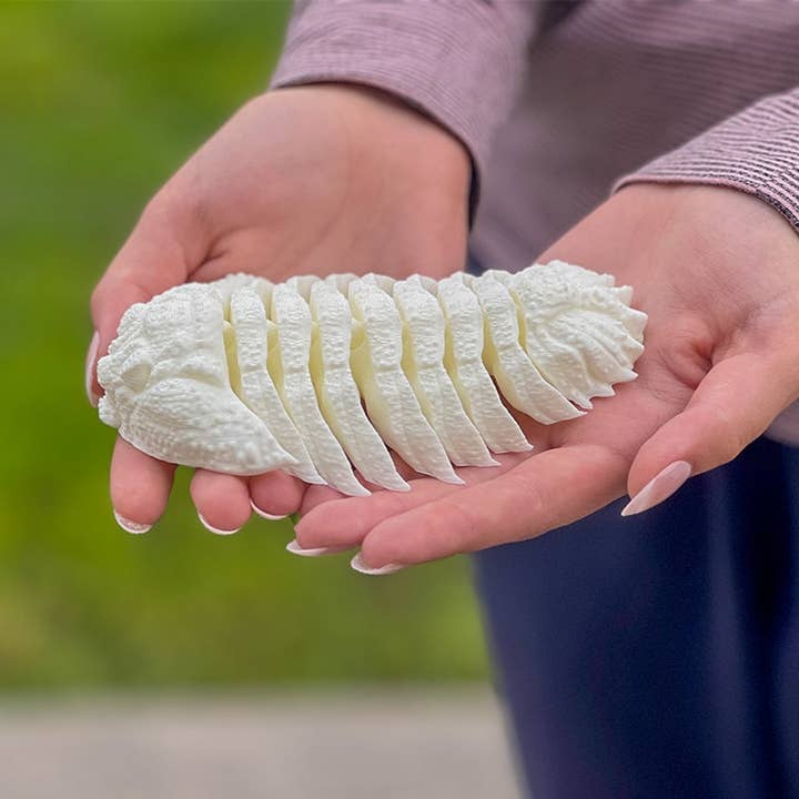 Friendly Fidget Trilobite | Arthropodes marins disparus pour la vente par Clever Contraptions