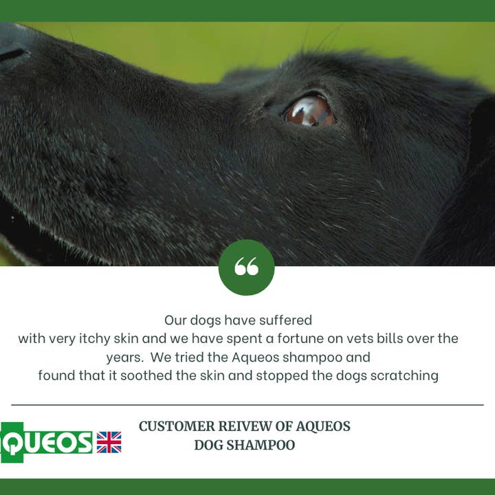 Aqueos – wholesale Djurschampo - Hund – Aqueos anti-bakteriell, anti-virala & anti-kliar hund schampo 5L2