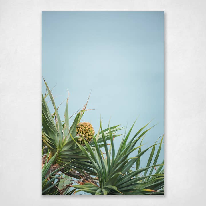 Pandanus leaves for wholesale by Ocean's Echo