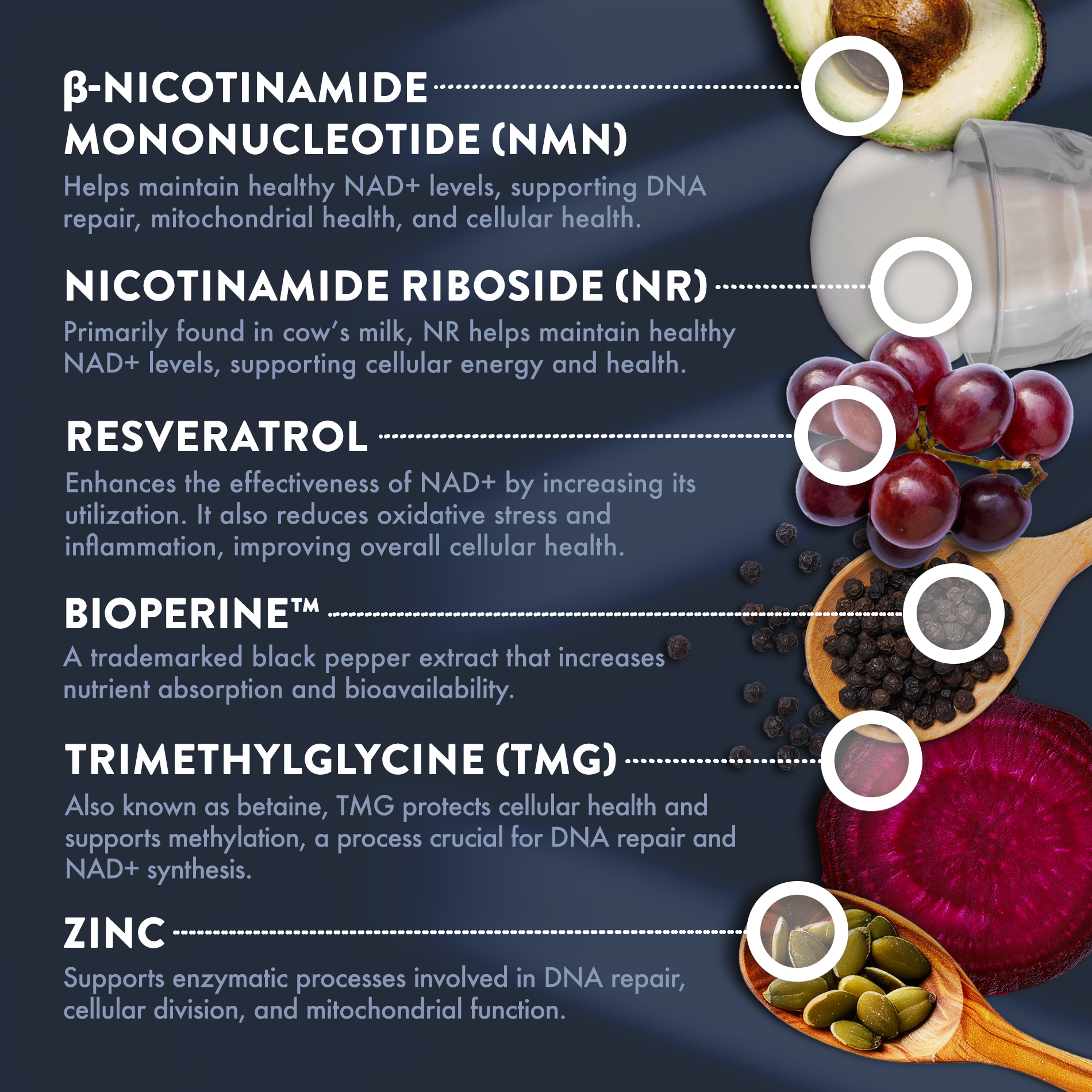 Mt. Angel Vitamins - Wholesale Oral Supplement/Vitamin - Mt. Angel Vitamins' NMN + NR - 60 Capsules3