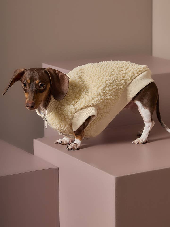 Dackel Elfenbein Sherpa Weste MILAN für den Großhandel von The Striped Dog