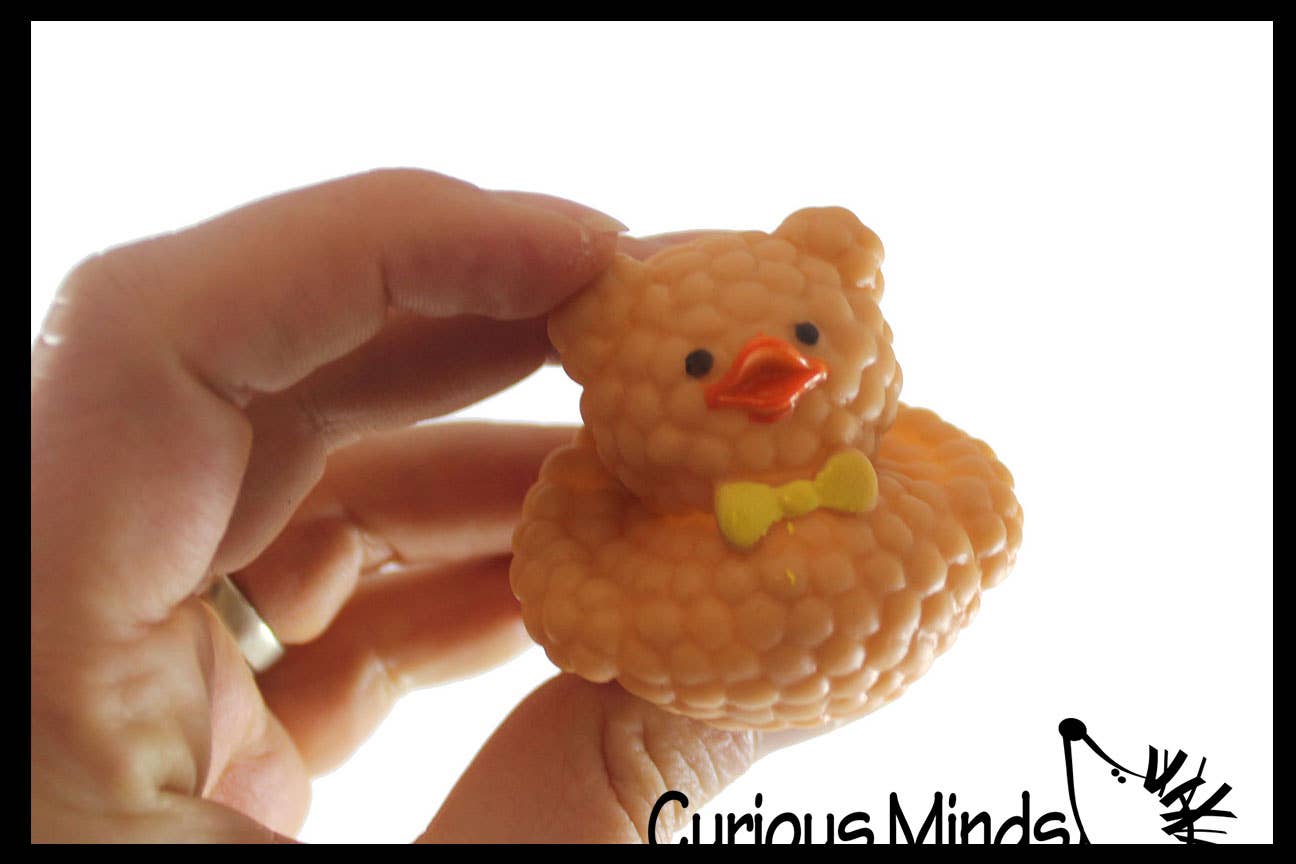Curious Minds Toys – wholesale Bath toy – Baby – 1 Cute Spring Animal Shaped Kawaii 2" Rubber Ducks - Rubber 5