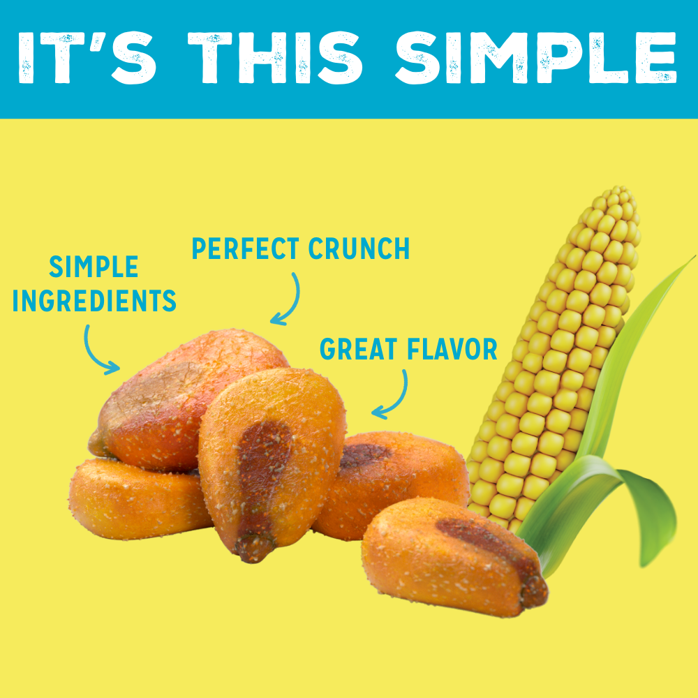 LOVE CORN - Wholesale Puffed Snack - LOVE CORN Salt & Vinegar Multipack 0.7oz x 20 Bags1