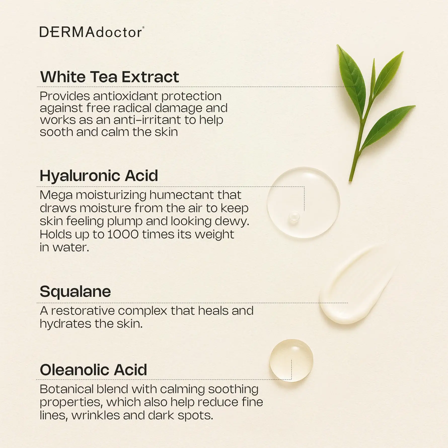 DERMAdoctor - Wholesale Facial Moisturizer - Calm Cool + Corrected Anti-Redness Tranquility Cream7