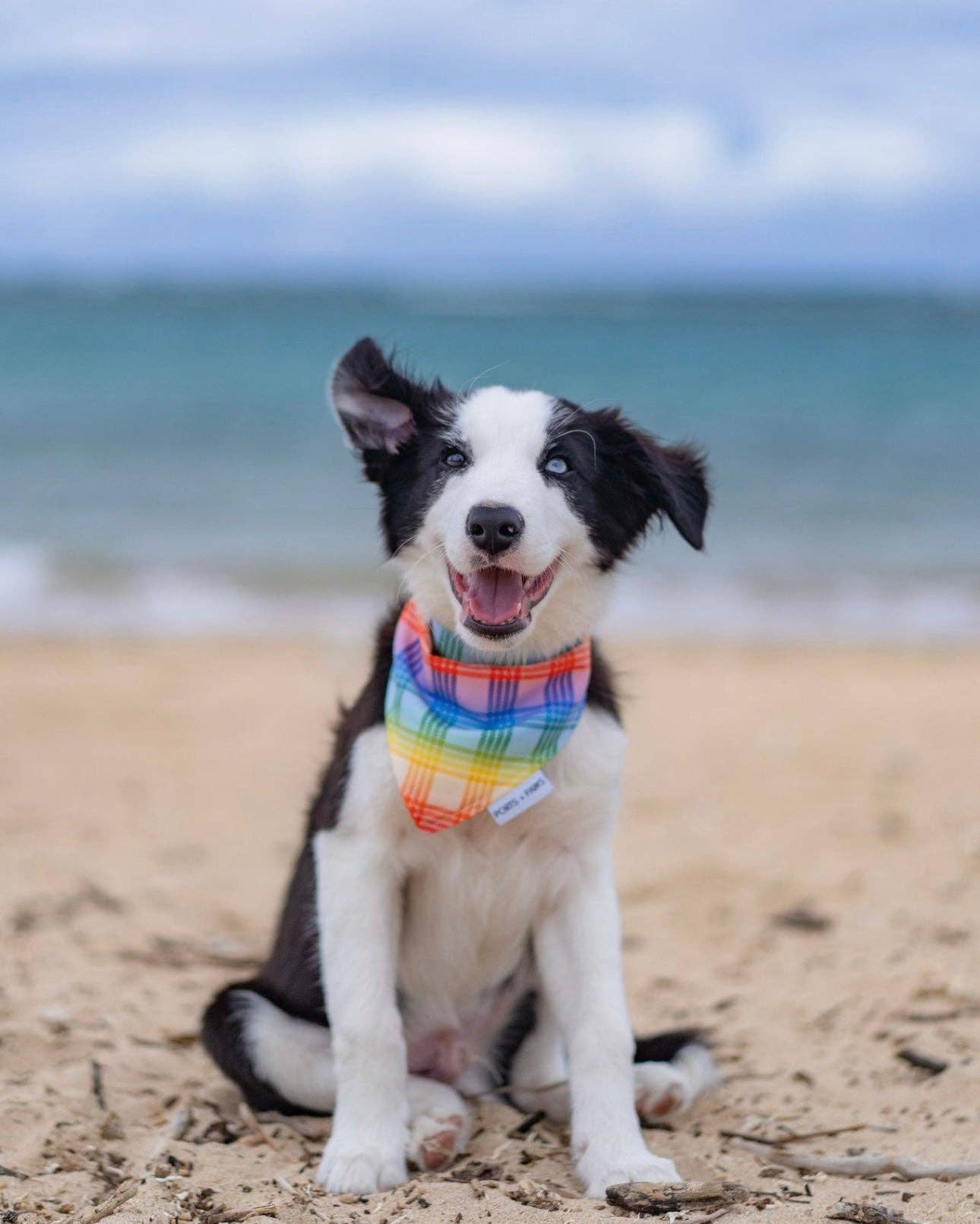 Ports and Paws – wholesale Pet bandana – Dog – QUICK DRY BANDANA - PALAKA RAINBOW1