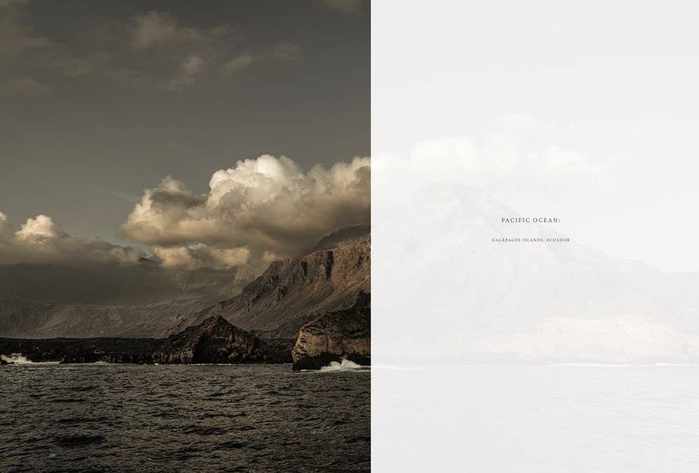 W. W. Norton - Wholesale Nature & Outdoors - Wild Ocean: A Journey to the Earth's Last Wild Coasts10