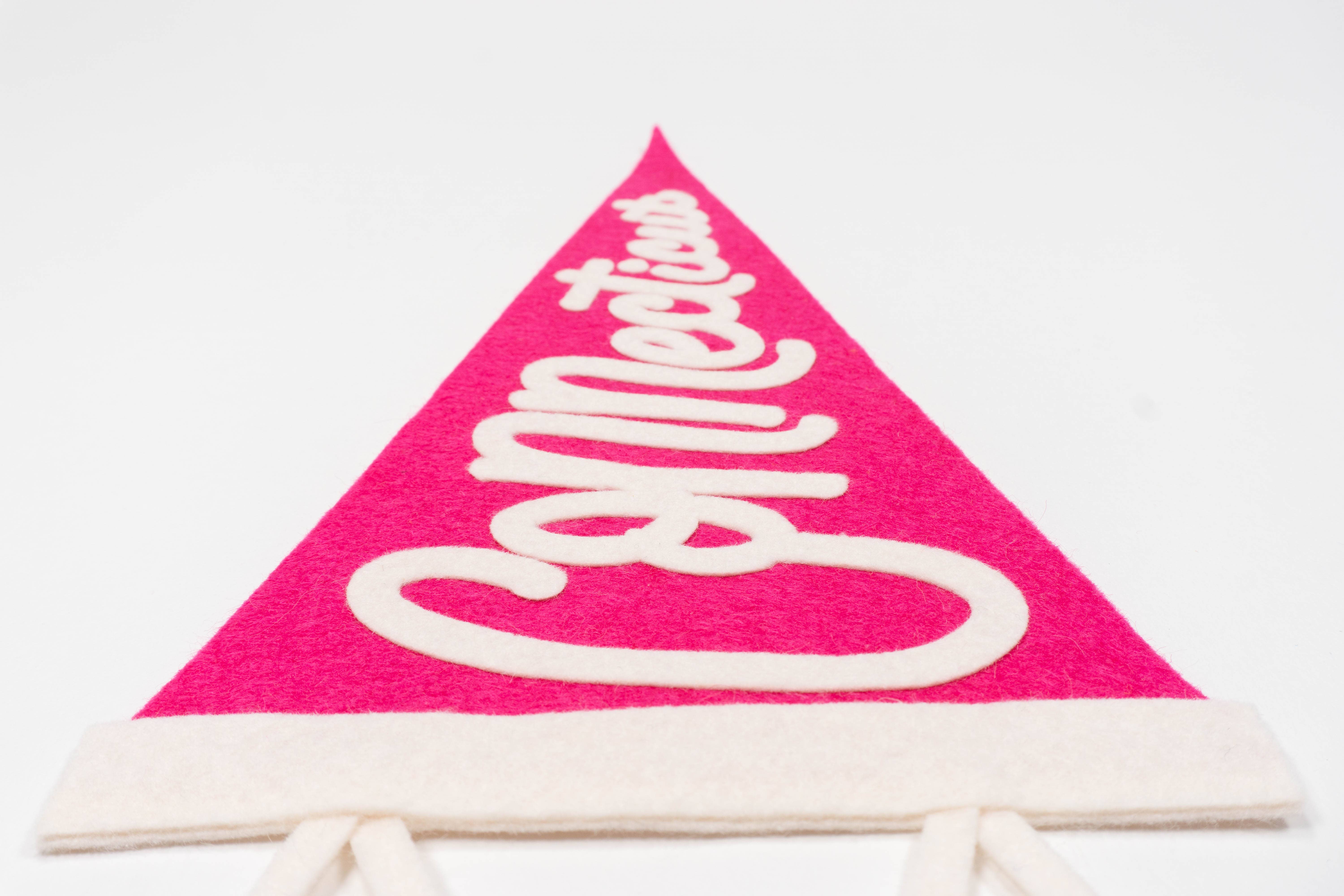 traveldashery - Wholesale Banner - connecticut pennant25