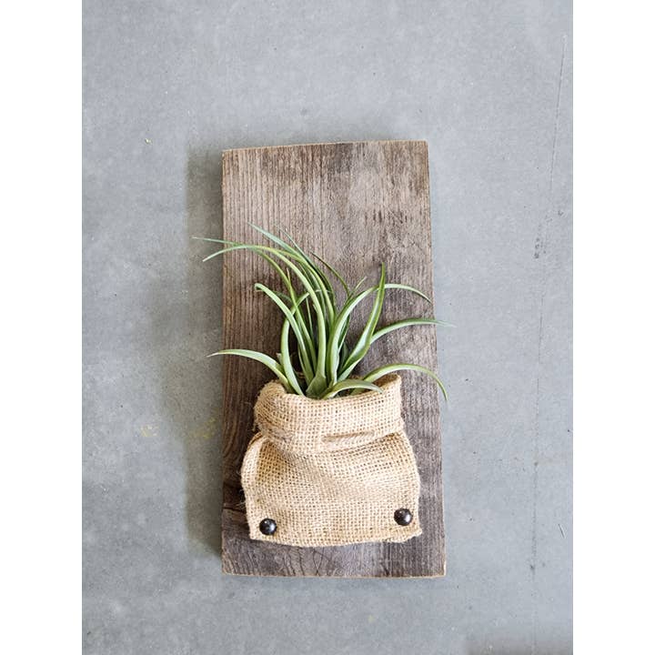 Love Reclaimed - Wholesale Wall Planter - Burlap & Wood Wall Planter (Air Plants Included)