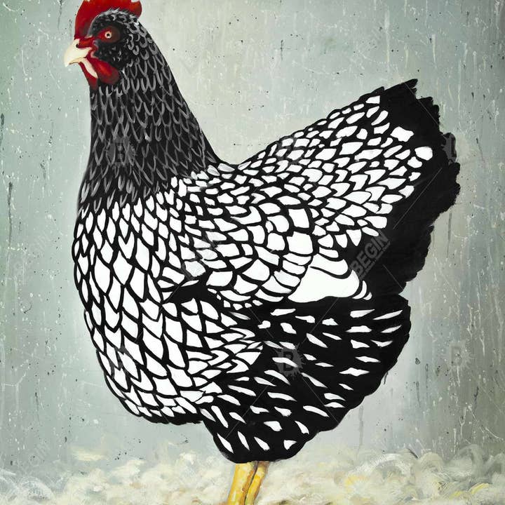 Azul Gallina Wyandotte | impresión enmarcada sobre lienzo 48 «x 60" de venta al por mayor en Faire