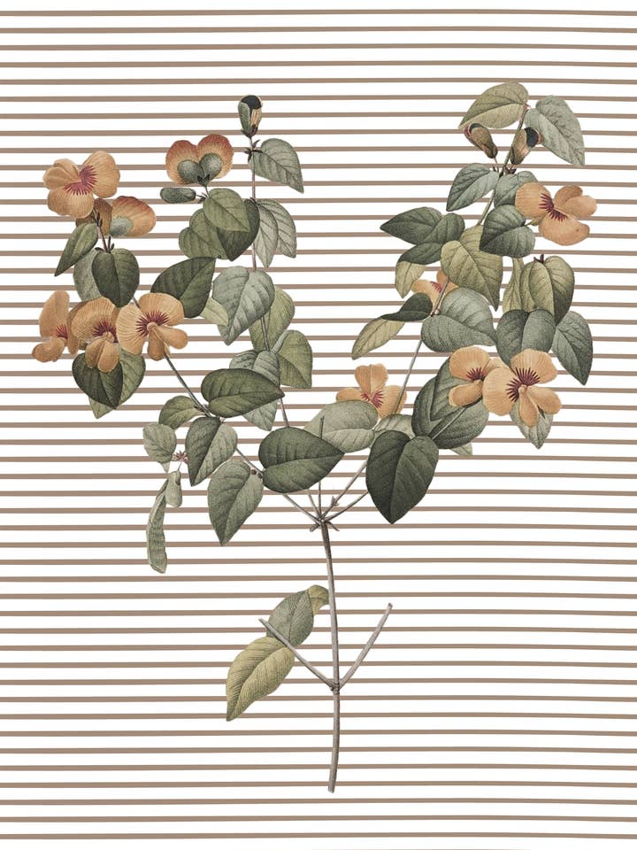 Spring Stem, Botanical Print for wholesale by Kbelt Designs