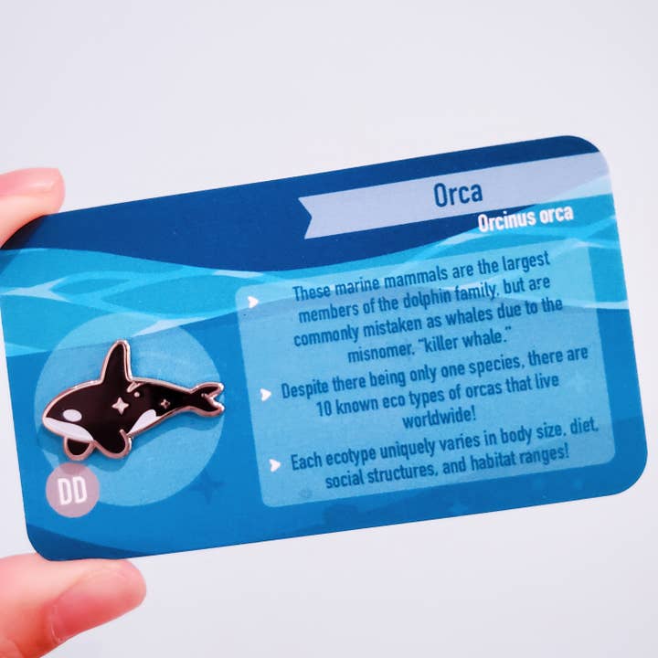 Informative Enamel Pin: Orca for wholesale by Umvvelt LLC