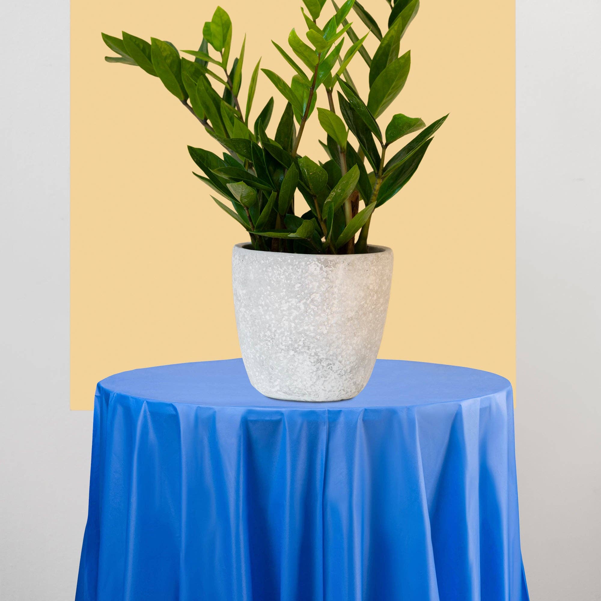 Smarty had a Party – wholesale Disposable table cover/runner – 84" Navy Round Plastic Tablecloths - 96 pcs7